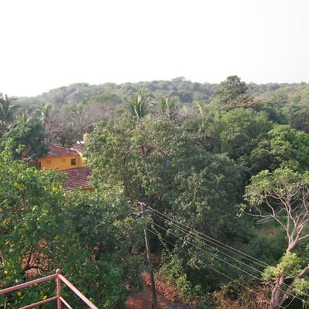 Rudra Holidays Guest House Arambol Extérieur photo
