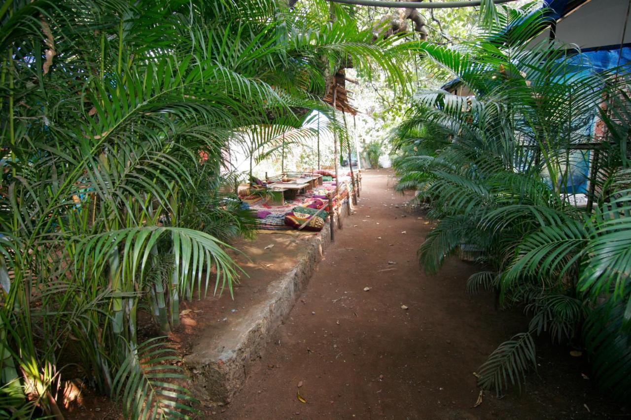 Rudra Holidays Guest House Arambol Extérieur photo
