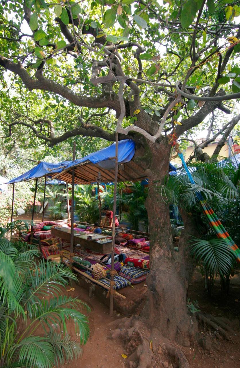 Rudra Holidays Guest House Arambol Extérieur photo