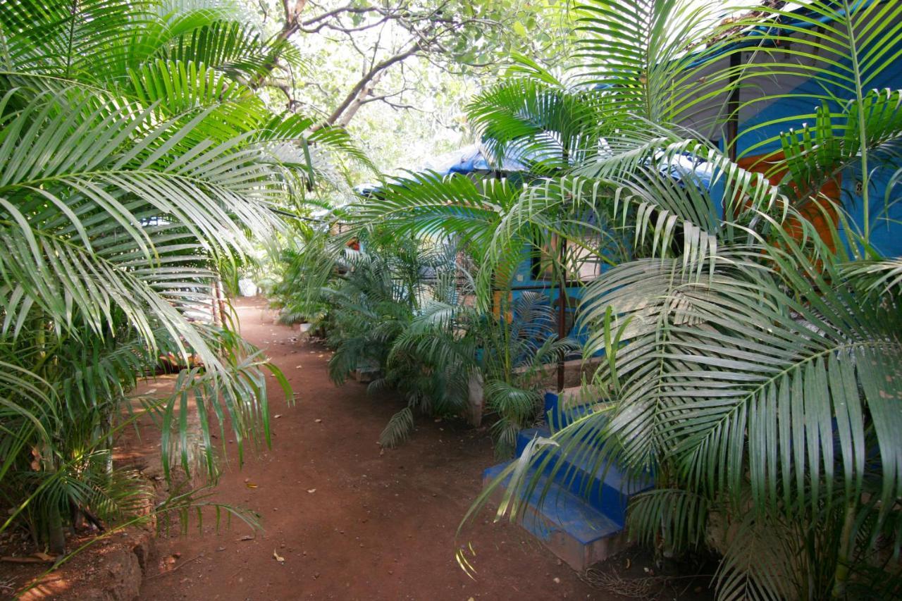 Rudra Holidays Guest House Arambol Extérieur photo